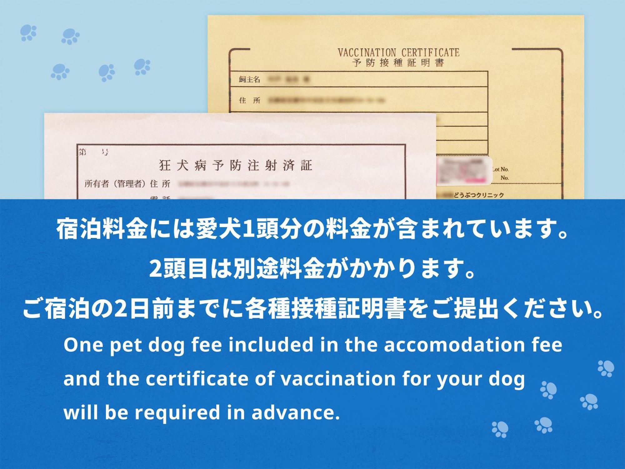Hotel Anddoggy Kyoto Nijo الغرفة الصورة