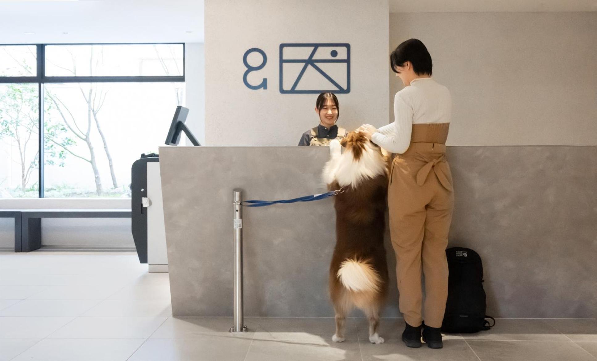 Hotel Anddoggy Kyoto Nijo المظهر الخارجي الصورة