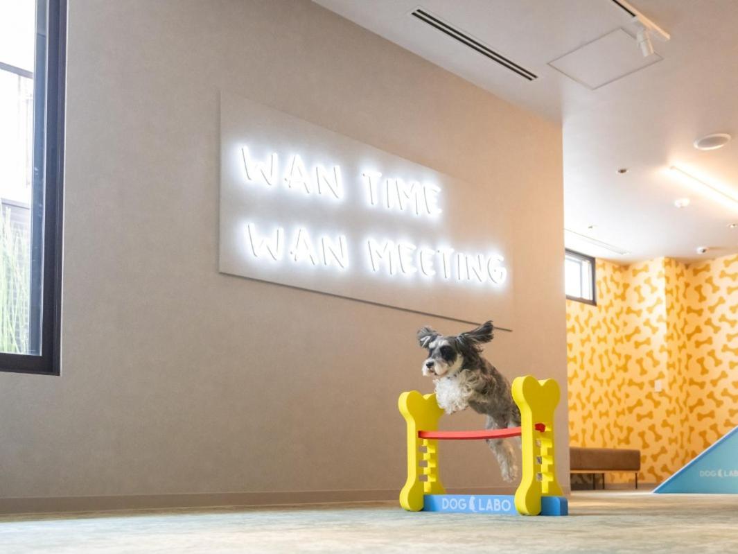 Hotel Anddoggy Kyoto Nijo المظهر الخارجي الصورة