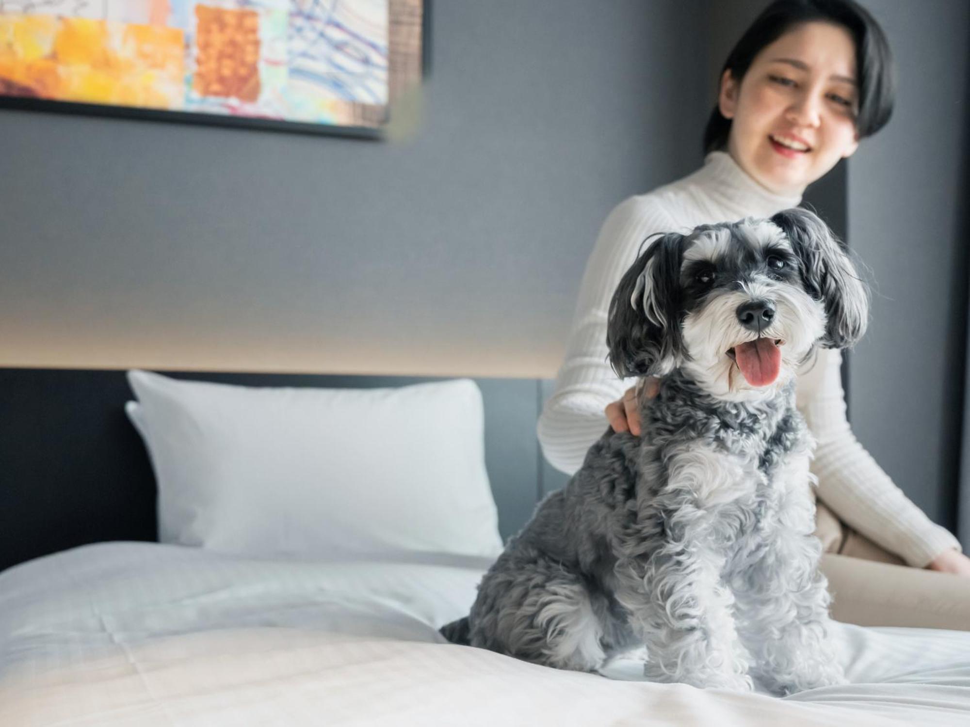 Hotel Anddoggy Kyoto Nijo المظهر الخارجي الصورة