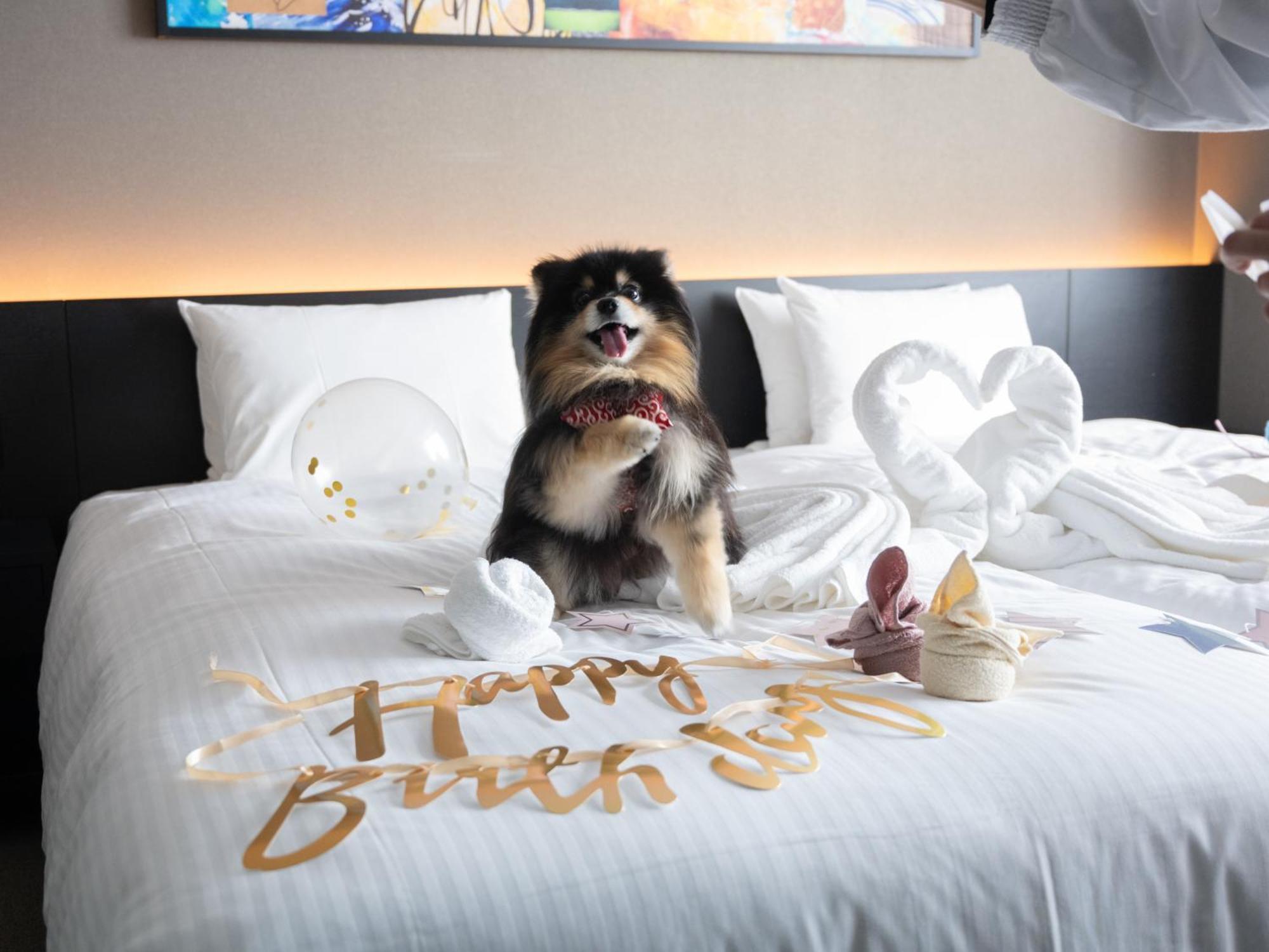 Hotel Anddoggy Kyoto Nijo المظهر الخارجي الصورة