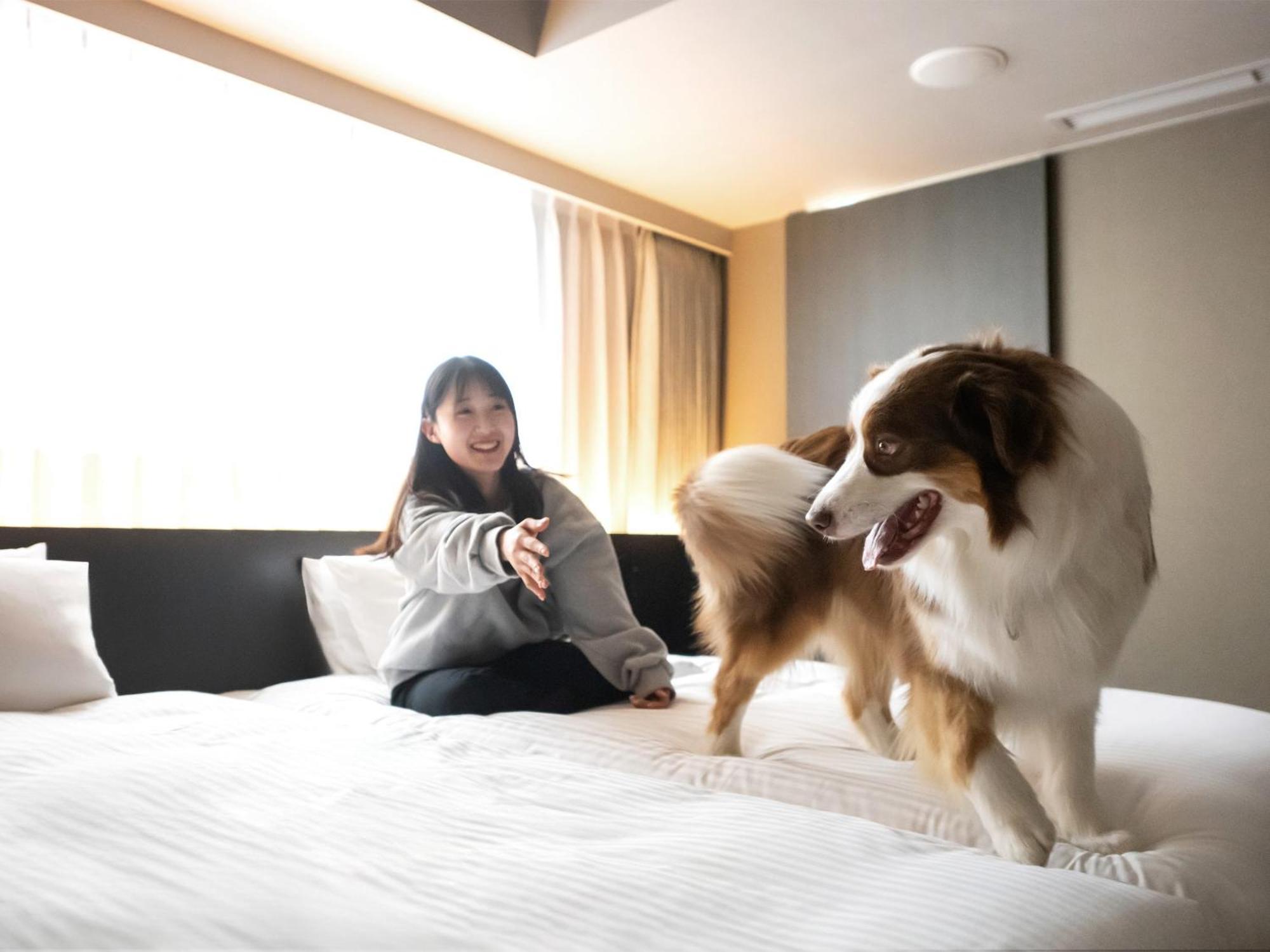 Hotel Anddoggy Kyoto Nijo المظهر الخارجي الصورة